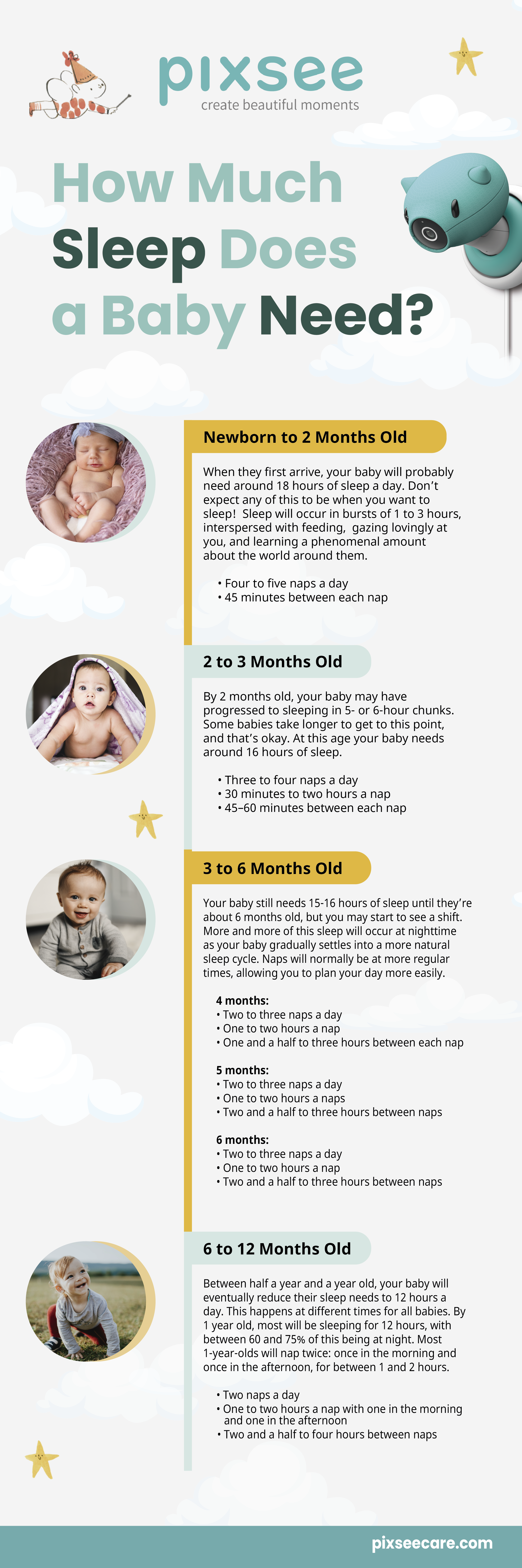 11641 Pixsee Newborn's Sleep Schedule Infographics