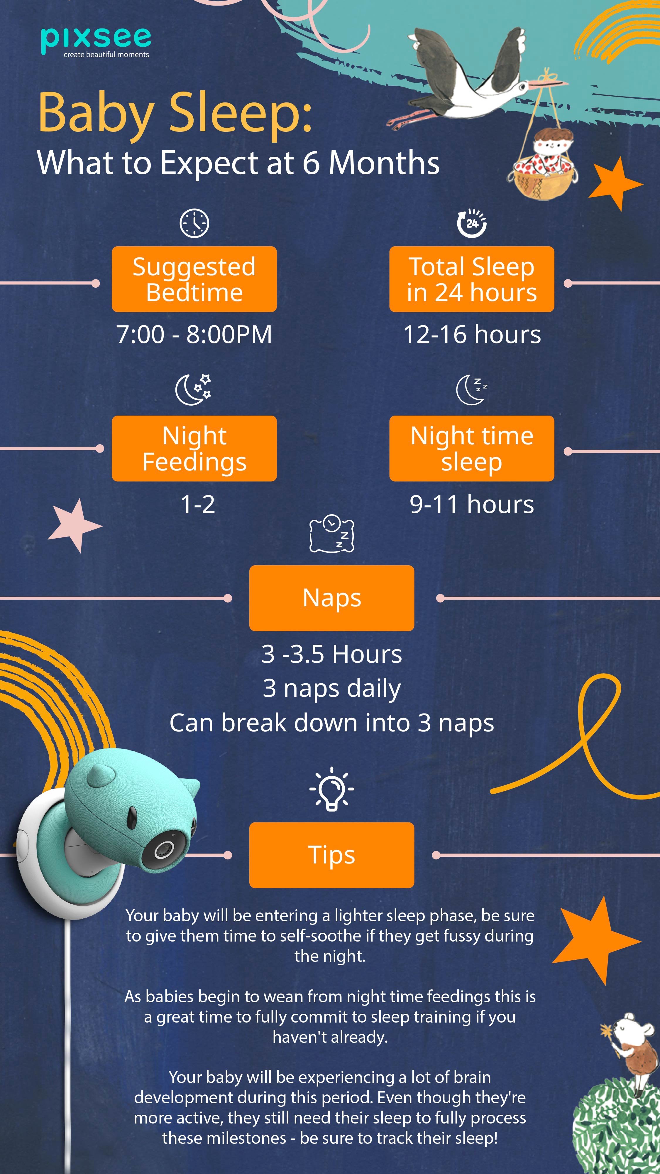 Baby Sleep Cycle at 6 Months Infographic