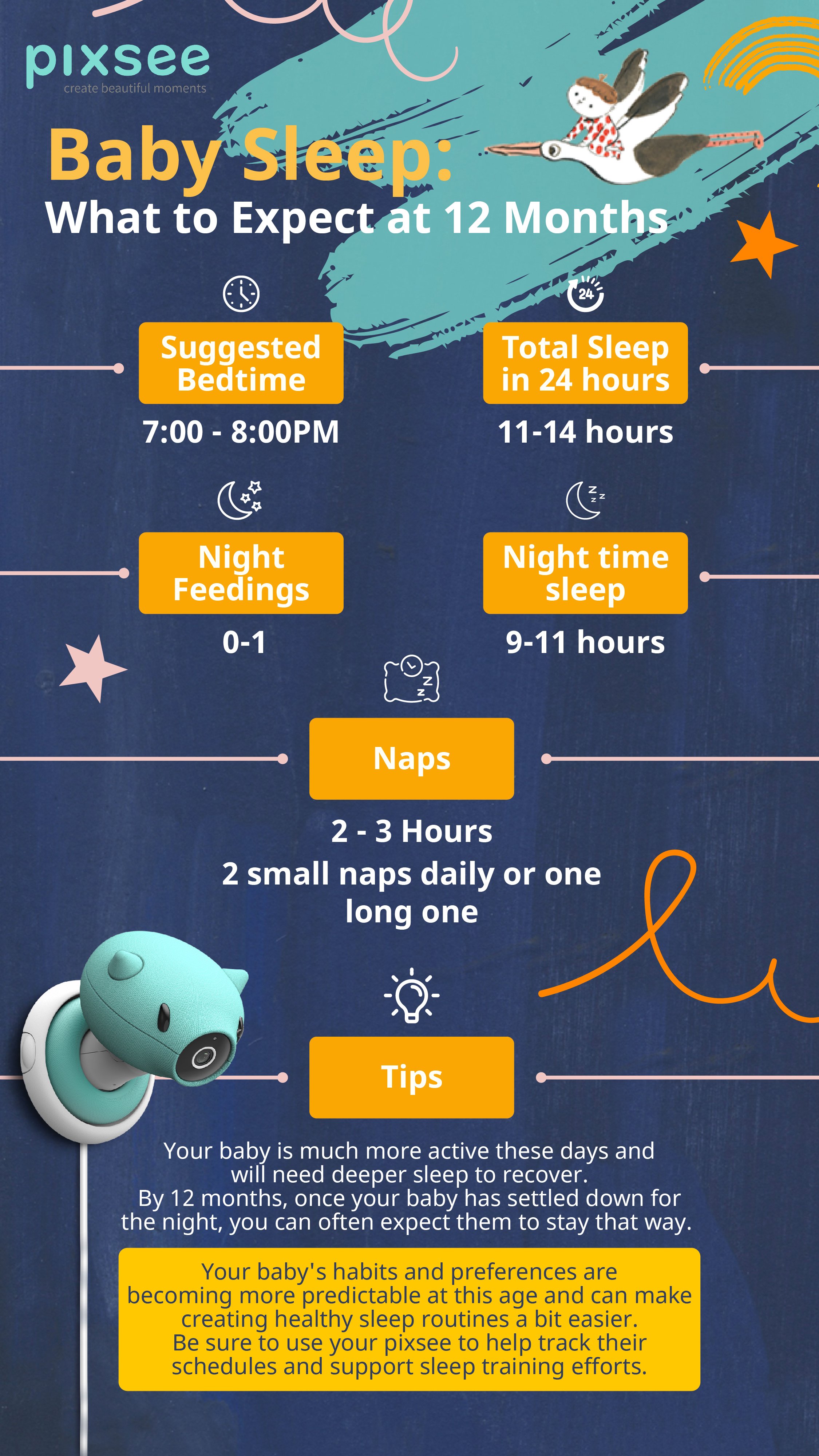 Baby Sleep- 12 Month Infographic