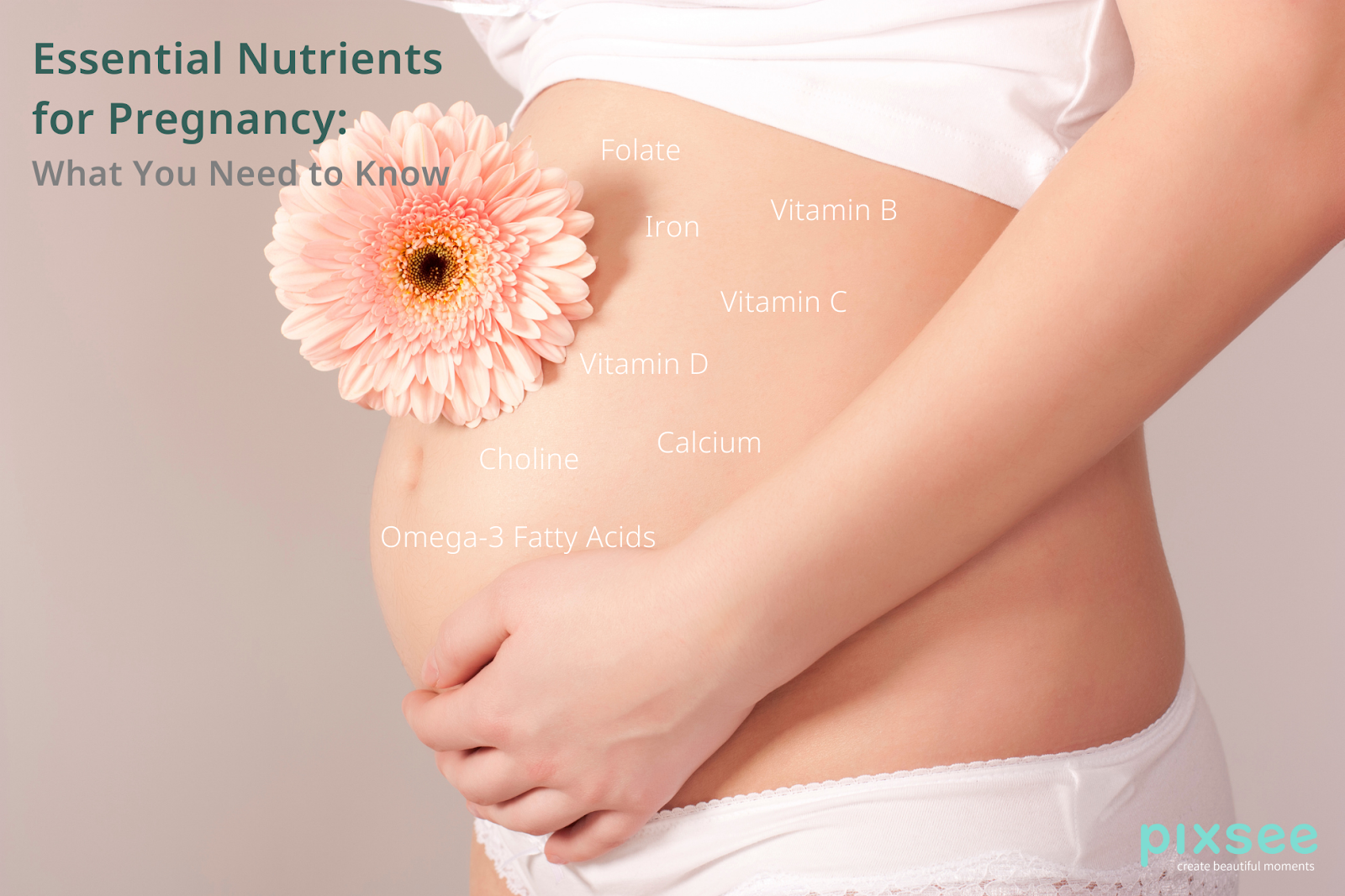 Essential Nutrients for Pregnancy What You Need to Know