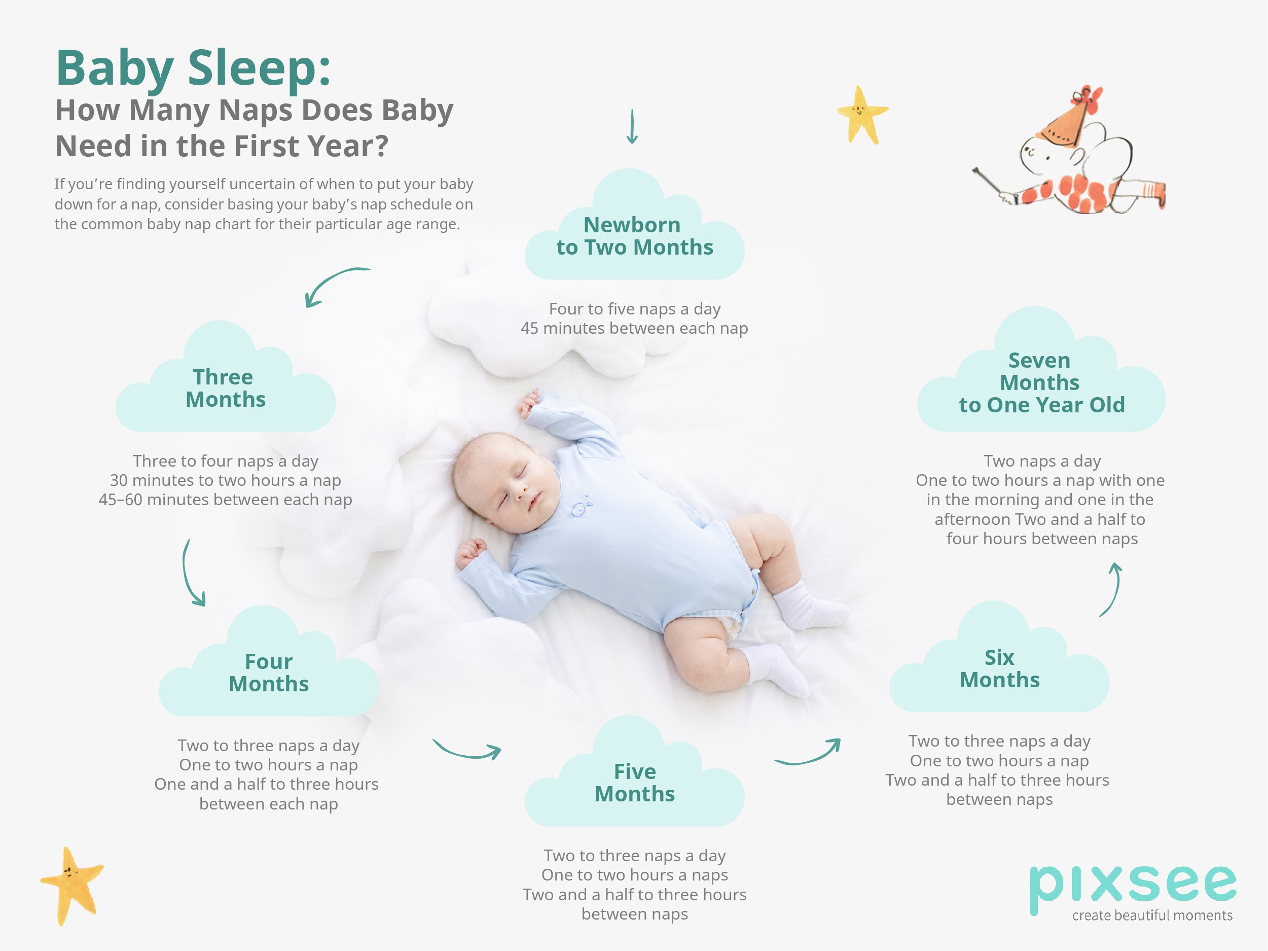 How Many Naps Does Baby Need in the First Year Infographic