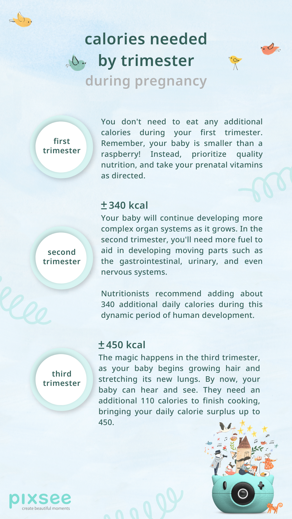 Trimester Calories